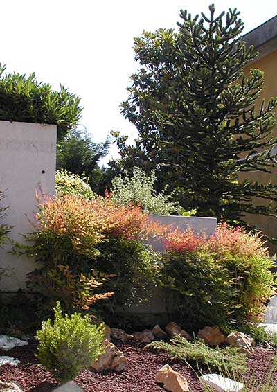 Pianificazione della vegetazione